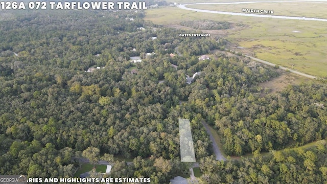 Listing photo 2 for LOT72 Tar Flower Trl, Waverly GA 31565