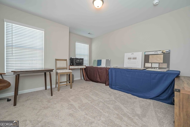 carpeted bedroom with multiple windows