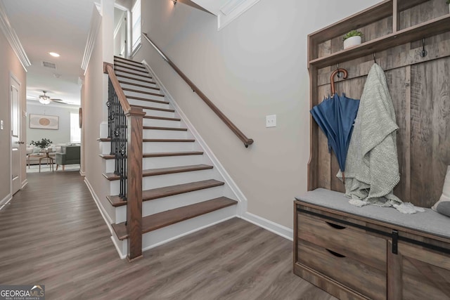 stairs with ceiling fan, hardwood / wood-style floors, and crown molding