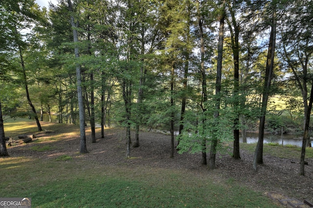 view of yard with a water view