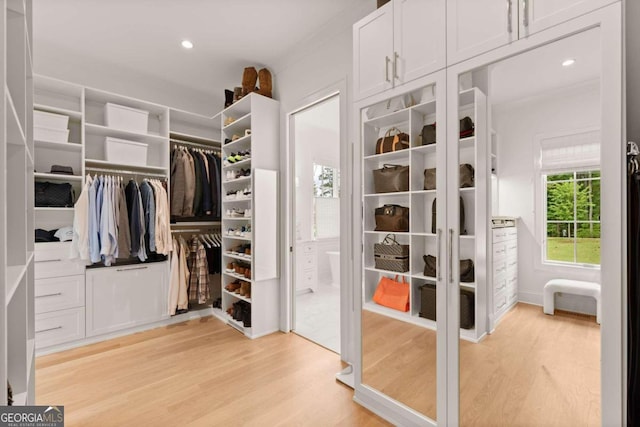 walk in closet with light wood-type flooring