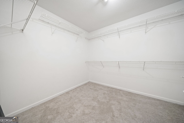 spacious closet featuring carpet