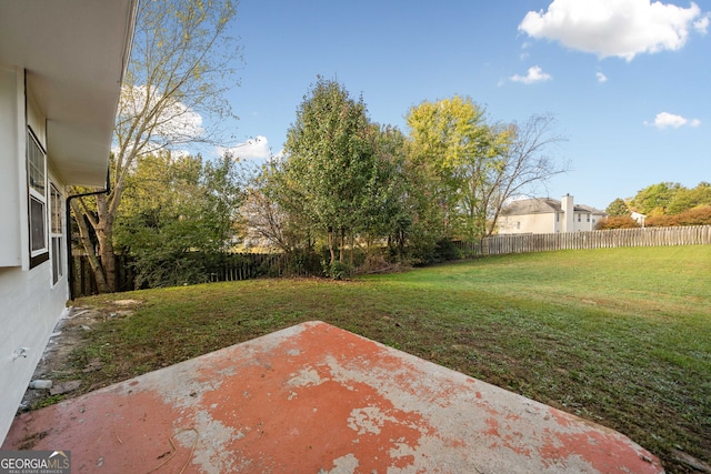 view of yard featuring a patio area