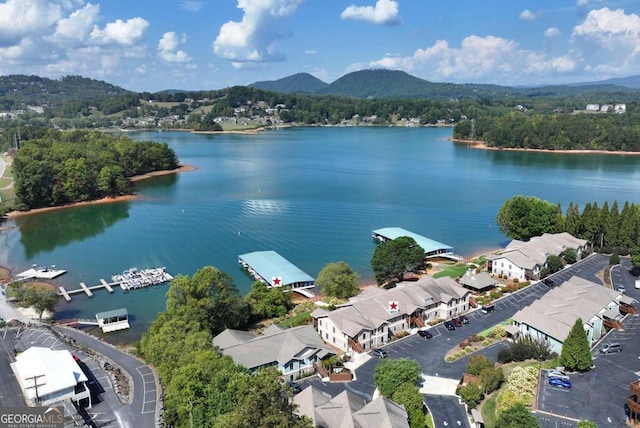 birds eye view of property featuring a water and mountain view