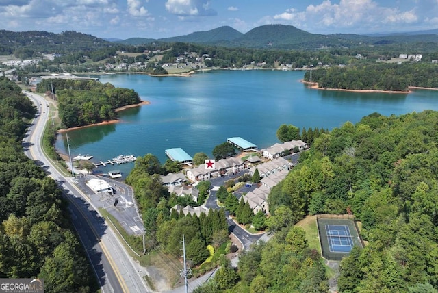 drone / aerial view with a water and mountain view