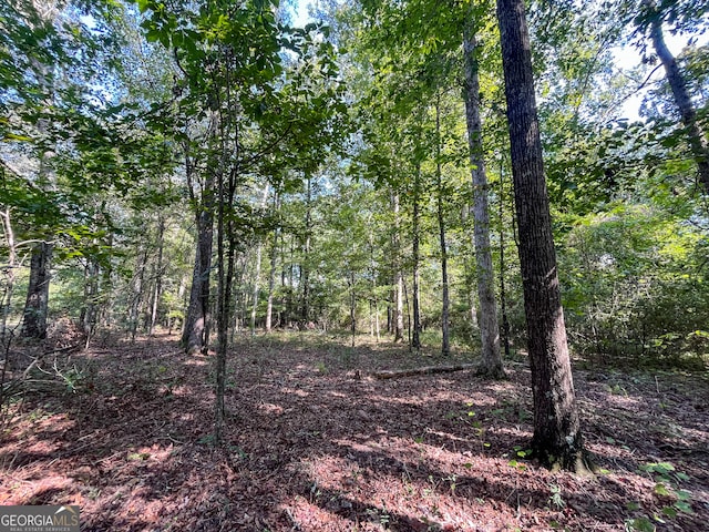 view of local wilderness