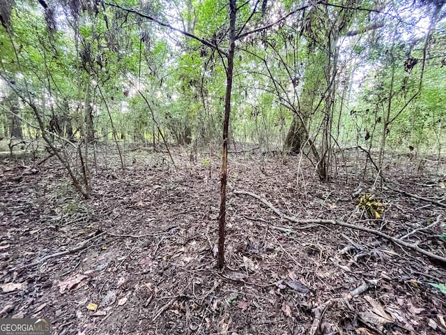 view of local wilderness