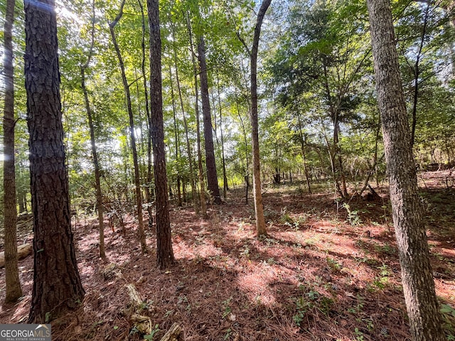 view of local wilderness