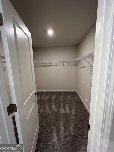 spacious closet with carpet