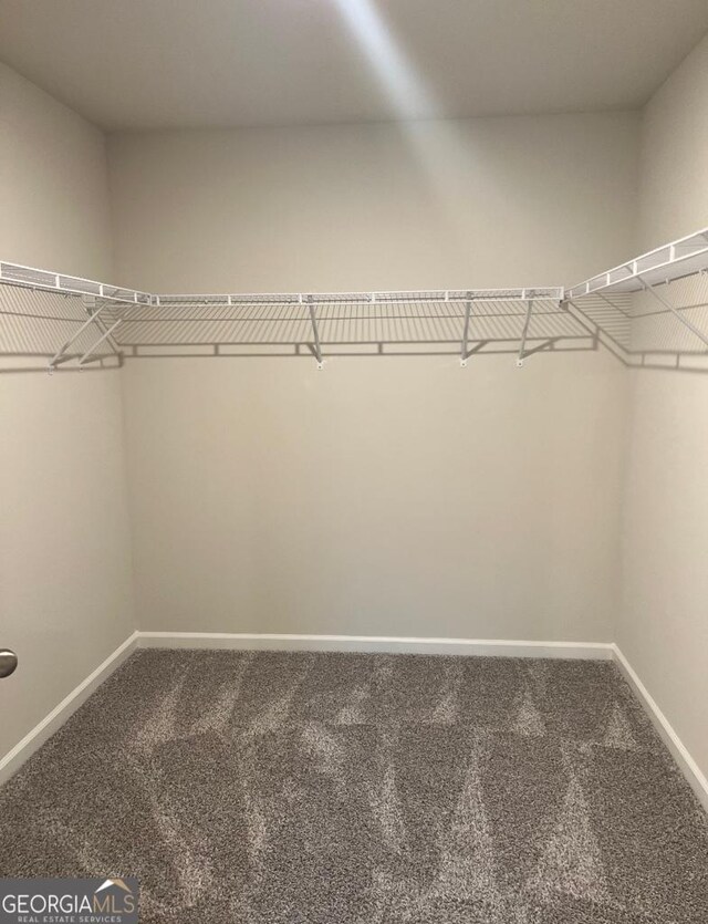 spacious closet featuring carpet