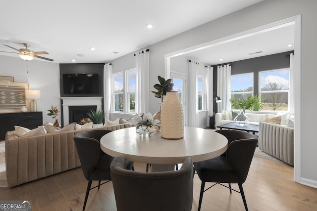 dining space with ceiling fan, a wealth of natural light, and light hardwood / wood-style flooring