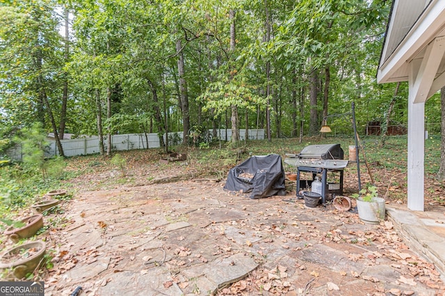 view of yard with a patio area