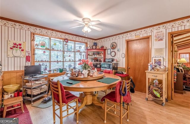 dining space with wood walls, ornamental molding, light wood-type flooring, and ceiling fan