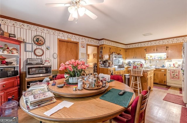 dining space featuring ornamental molding, sink, and ceiling fan