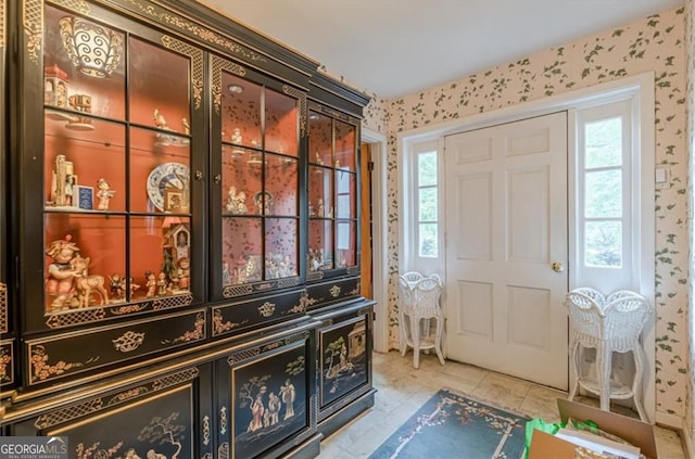 entryway with a wealth of natural light