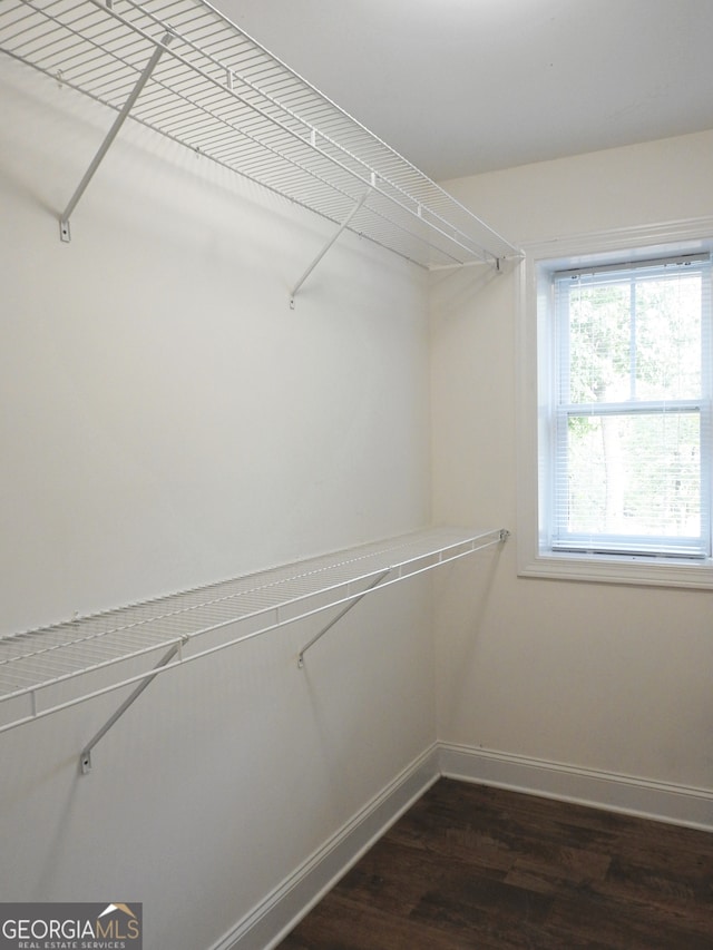 walk in closet featuring dark hardwood / wood-style flooring