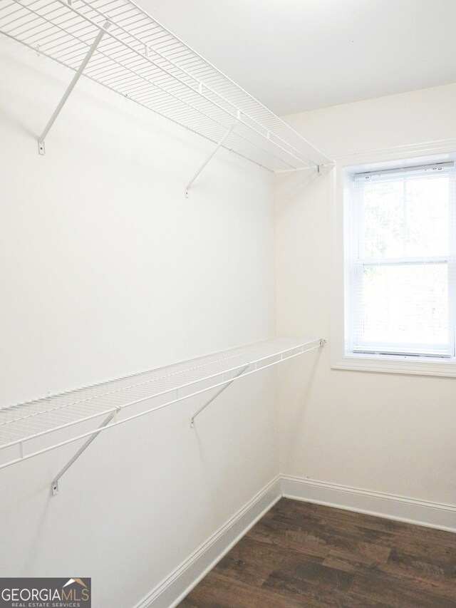 walk in closet featuring dark wood-type flooring