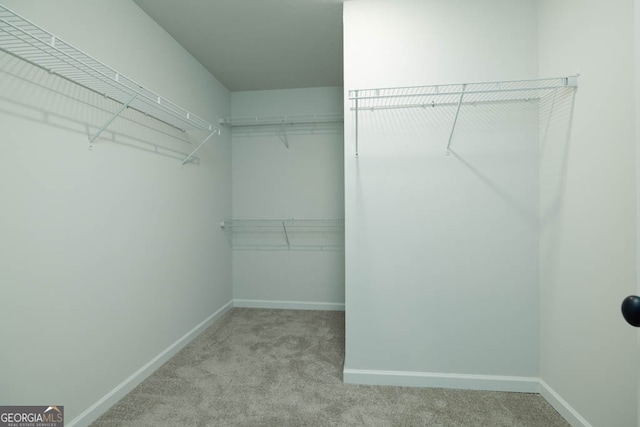 spacious closet featuring light carpet