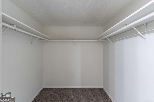 spacious closet featuring dark colored carpet