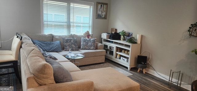 living room with dark hardwood / wood-style floors