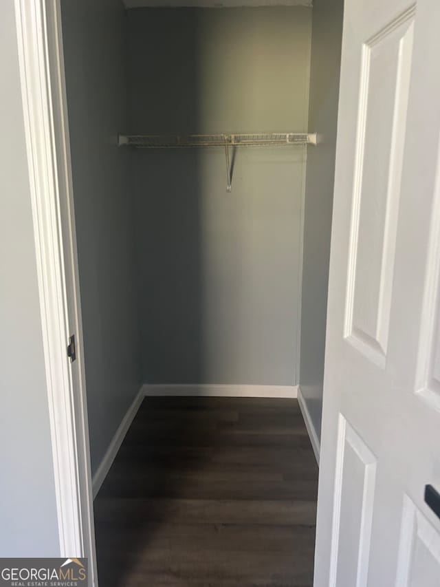 spacious closet featuring dark wood-type flooring