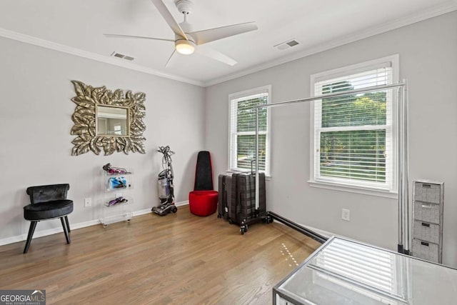 exercise area featuring ceiling fan, light wood-type flooring, and crown molding