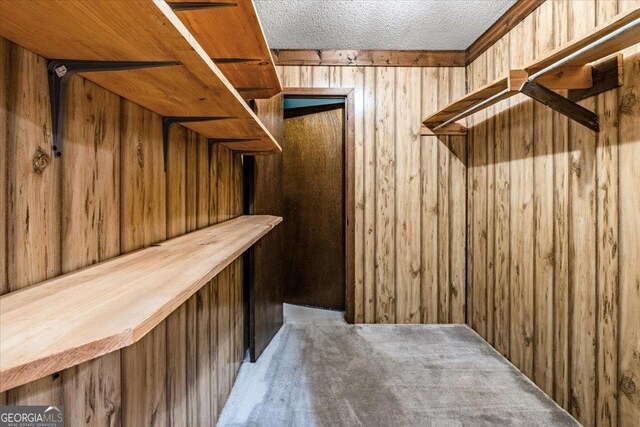 walk in closet featuring carpet flooring