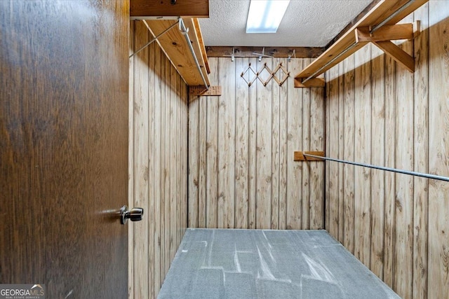 walk in closet featuring carpet flooring