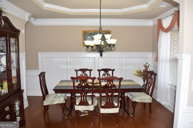 dining room featuring a chandelier, a raised ceiling, dark wood-type flooring, and crown molding