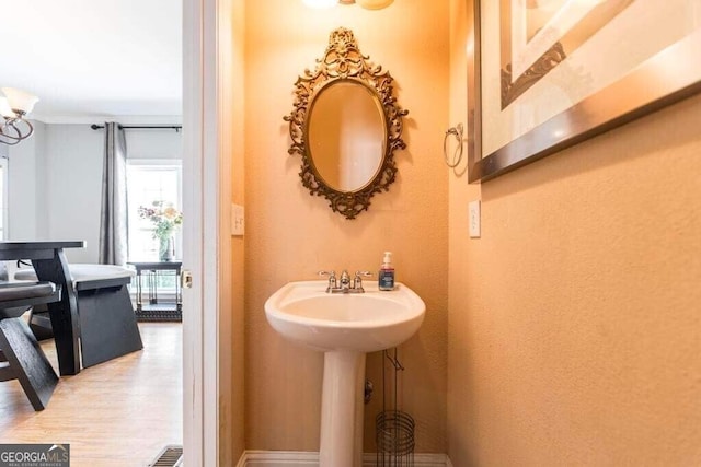 bathroom featuring wood-type flooring and sink