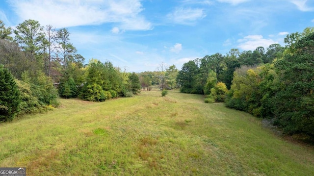 150 Sperin Cabinet Rd, Ball Ground GA, 30107 land for sale