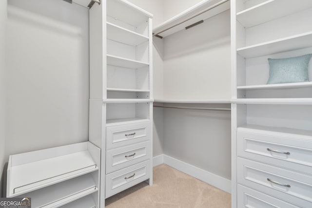 spacious closet with light carpet