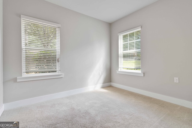 spare room featuring light carpet