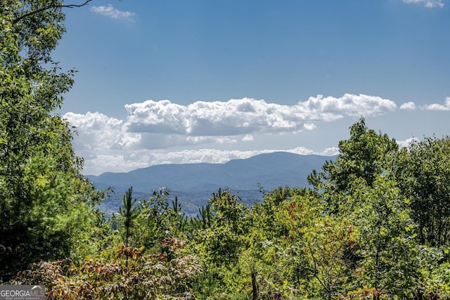 view of mountain feature featuring a view of trees