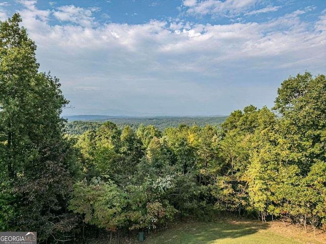 view of local wilderness featuring a forest view