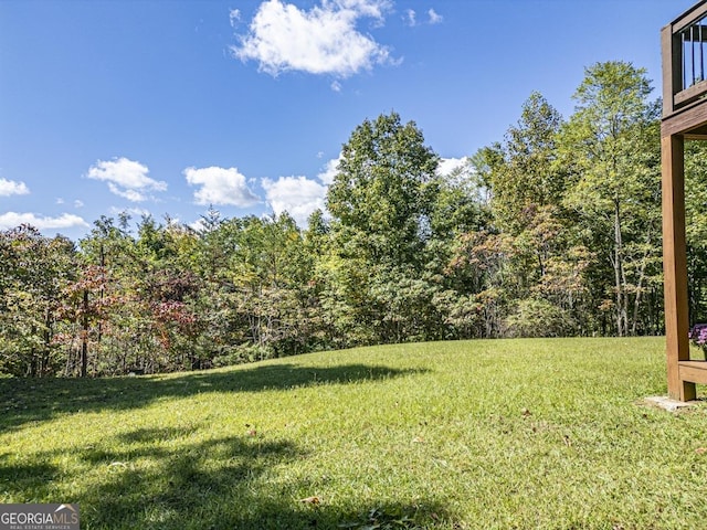view of green lawn