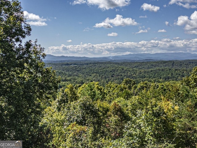 view of mountain feature with a forest view