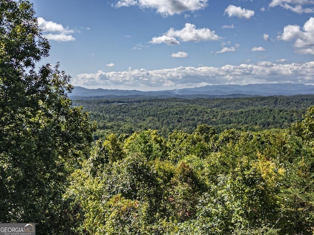 view of mountain background featuring a heavily wooded area