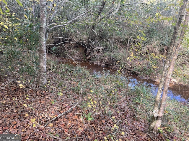 0 S Bridge Rd, Franklin, GA 30217
