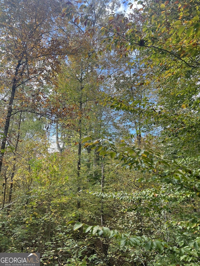 0 S Bridge Rd, Franklin, GA 30217