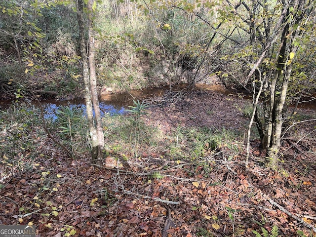 0 S Bridge Rd, Franklin, GA 30217