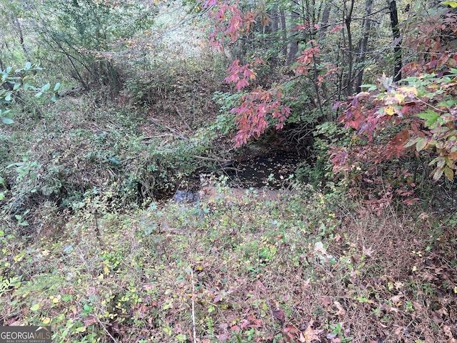 0 S Bridge Rd, Franklin, GA 30217