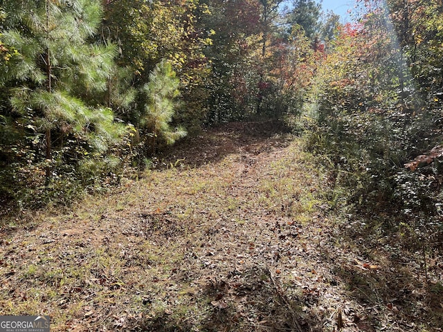 0 S Bridge Rd, Franklin, GA 30217
