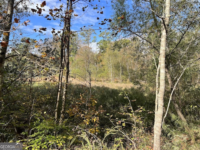 0 S Bridge Rd, Franklin, GA 30217