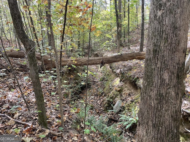 0 S Bridge Rd, Franklin, GA 30217