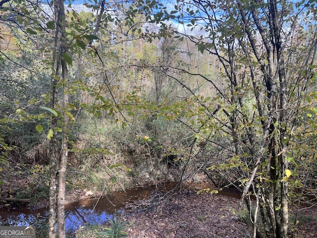 0 S Bridge Rd, Franklin, GA 30217