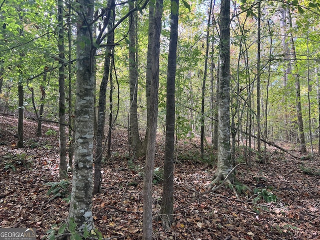 0 S Bridge Rd, Franklin, GA 30217