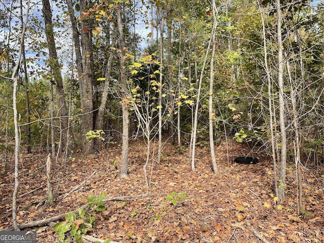 0 S Bridge Rd, Franklin, GA 30217