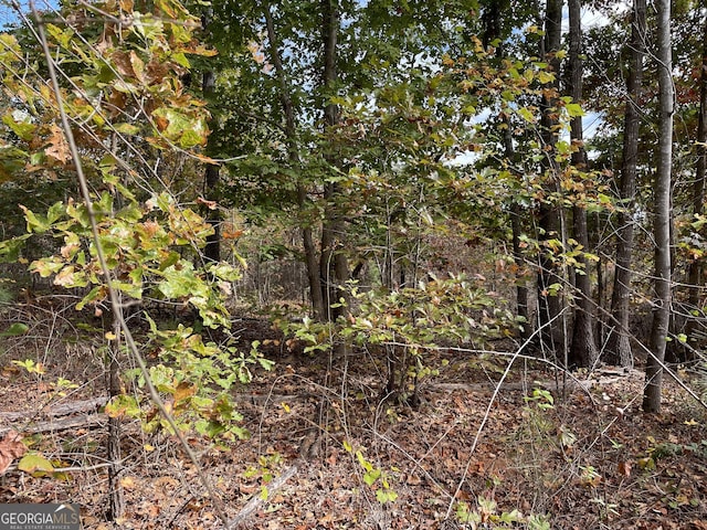 0 S Bridge Rd, Franklin, GA 30217