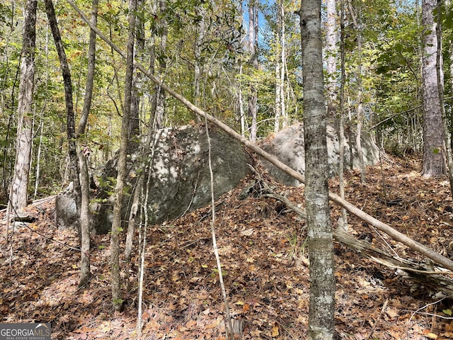 0 S Bridge Rd, Franklin, GA 30217